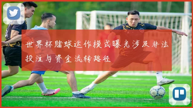 世界杯赌球运作模式曝光涉及非法投注与资金流转路径