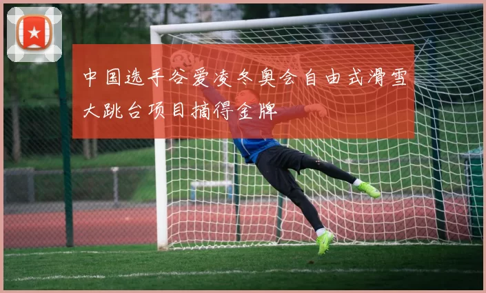 中国选手谷爱凌冬奥会自由式滑雪大跳台项目摘得金牌