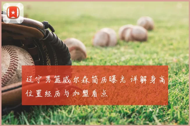 辽宁男篮威尔森简历曝光 详解身高位置经历与加盟看点