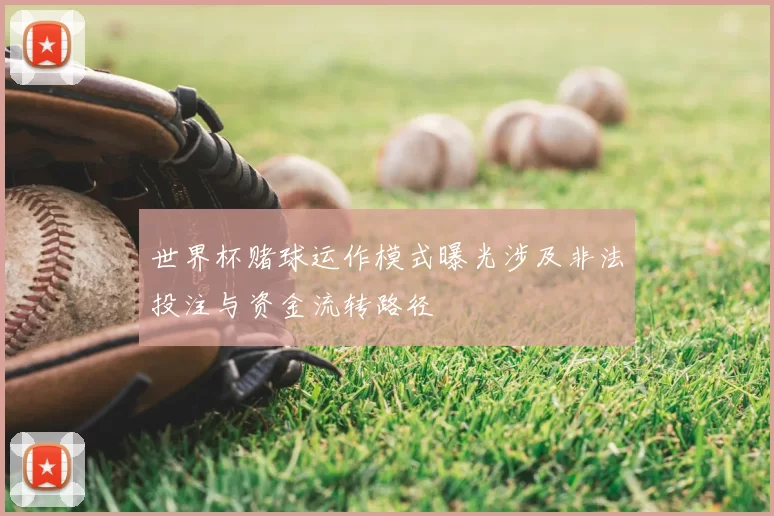 世界杯赌球运作模式曝光涉及非法投注与资金流转路径