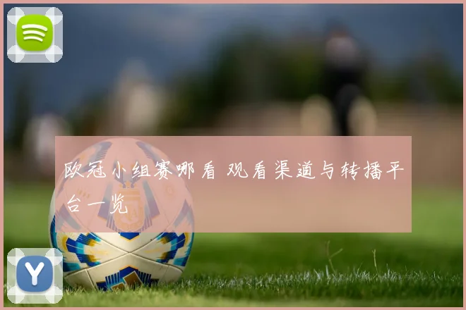 欧冠小组赛哪看 观看渠道与转播平台一览