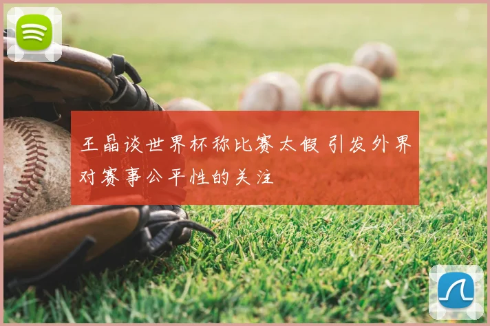 王晶谈世界杯称比赛太假 引发外界对赛事公平性的关注