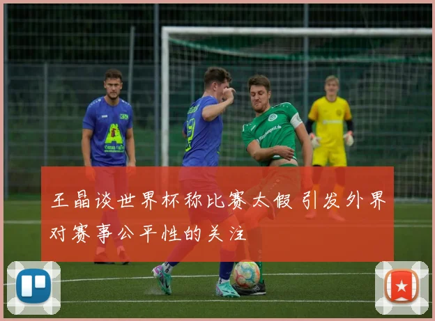 王晶谈世界杯称比赛太假 引发外界对赛事公平性的关注